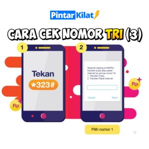 Cara Cek Nomor Tri
